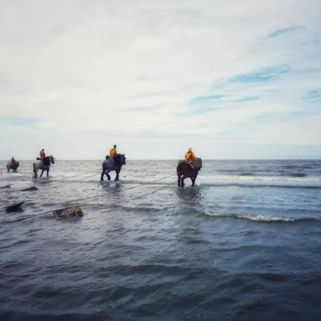 By Belgian Coast With Sea Views, Cleaning Included شقة أوستدوينكيرك