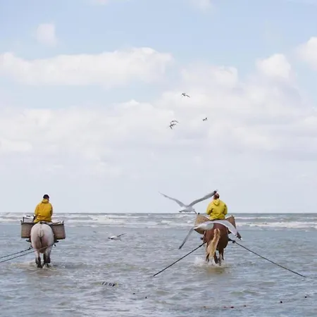 By Belgian Coast With Sea Views, Cleaning Included أوستدوينكيرك